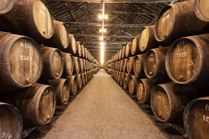Port wine cellars Porto to Lisbon Bike Tour
